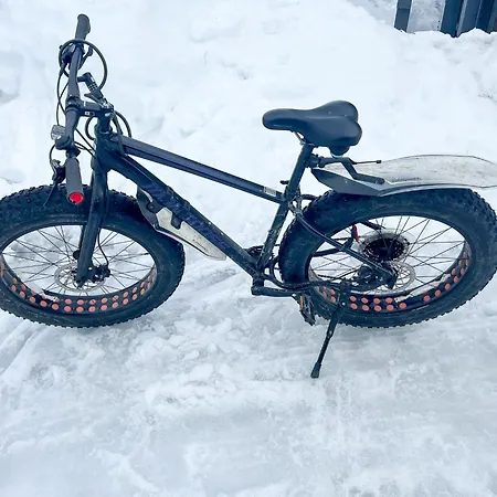 Semesterbostad Haltinmalla By Interhome *