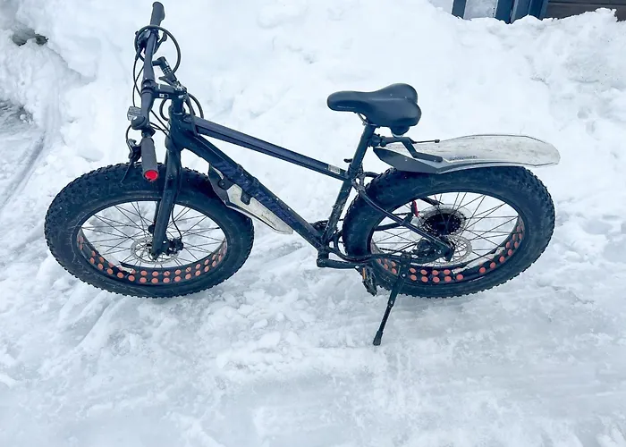 Ferienhaus Haltinmalla By Interhome